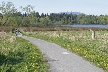 Burnaby Lake, Canada Stock Photos