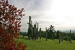 Burnaby Mountain Park, Canada Stock Photos