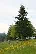 Burnaby Mountain Park, Canada Stock Photos