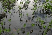 Vancouver Parks, Canada Stock Photos