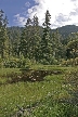 Vancouver Parks, Canada Stock Photos