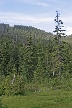 Vancouver Parks, Canada Stock Photos