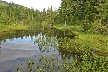 Vancouver Parks, Canada Stock Photos