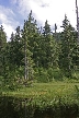 Vancouver Parks, Canada Stock Photos