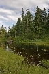 Vancouver Parks, Canada Stock Photos