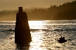 Barnet Marine Park, Canada Stock Photos