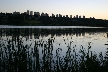 Burnaby Lake, Canada Stock Photos