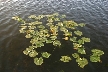 Sasamat Lake, Canada Stock Photos