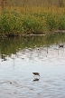 Sasamat Lake, Canada Stock Photos