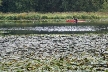 Burnaby Deer Lake, Canada Stock Photos