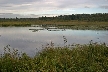 Burnaby Deer Lake, Canada Stock Photos