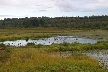 Burnaby Lake, Canada Stock Photos