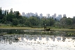 Burnaby Lake, Canada Stock Photos