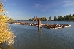 Vancouver Lumber Industry, Canada Stock Photos