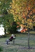 A Couple Sitting At Park, Canada Stock Photos