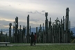 Burnaby Mountain Park, Canada Stock Photos