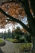 Burnaby Mountain Park, Canada Stock Photos