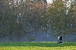 Burnaby Mountain Park In Myst, Canada Stock Photos