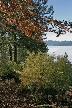 Burnaby Mountain Park In Myst, Canada Stock Photos