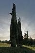 Burnaby Mountain Park, Canada Stock Photos