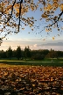 Burnaby Mountain Park, British Columbia