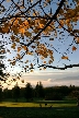 Burnaby Mountain Park, British Columbia