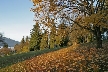 Burnaby Mountain Park, British Columbia