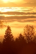 Burnaby Mountain Park, British Columbia