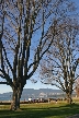 Volleyball At Kitsilano, Canada Stock Photos