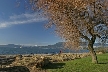 Fall At Kitsilano, Canada Stock Photos