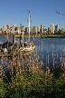 Kitsilano Beach, Canada Stock Photos