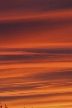 Vancouver Skyscape, Canada Stock Photos