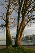 Stanley Park, Canada Stock Photos