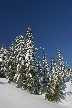 Cypress Mountain, Canada Stock Photos