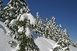 Cypress Mountain, Canada Stock Photos