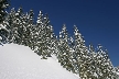 Cypress Mountain, Canada Stock Photos