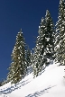 Cypress Mountain, Canada Stock Photos