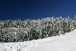 Cypress Mountain, Canada Stock Photos