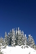 Cypress Mountain, Canada Stock Photos