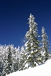 Cypress Mountain, Canada Stock Photos