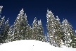 Cypress Mountain, Canada Stock Photos