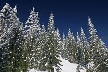 Cypress Mountain, Canada Stock Photos