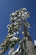 Cypress Mountain, Canada Stock Photos