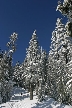 Cypress Mountain, Canada Stock Photos