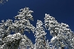 Cypress Mountain, Canada Stock Photos