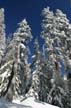 Cypress Mountain, Canada Stock Photos