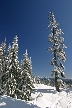 Cypress Mountain, Canada Stock Photos