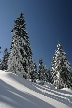 Cypress Mountain, Canada Stock Photos