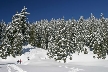 Cypress Mountain