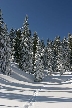 Cypress Mountain, Canada Stock Photos